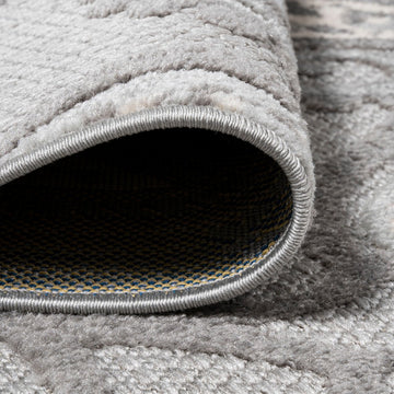 Julien Paisley High-low Indoor/outdoor Area Rug